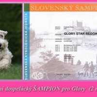 Glory-Šampion-SK